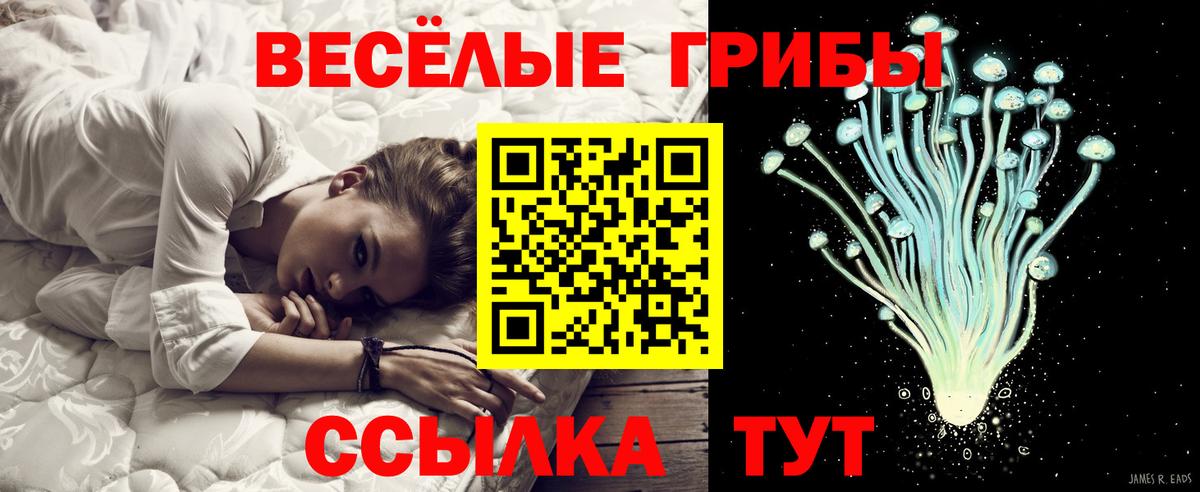 Псилоцибиновые грибы Psilocybe Сунжа